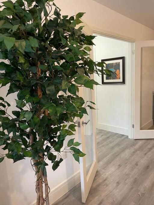 Stunning And Spacious 2Bed Flat In Central ووكينغ المظهر الخارجي الصورة